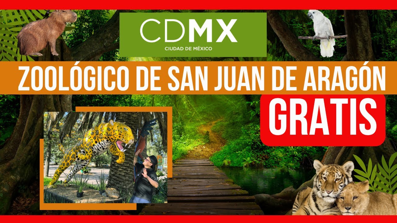 ¡DESCUBRE el ZOOLÓGICO de San Juan de Aragón! CDMX Entrada GRATIS