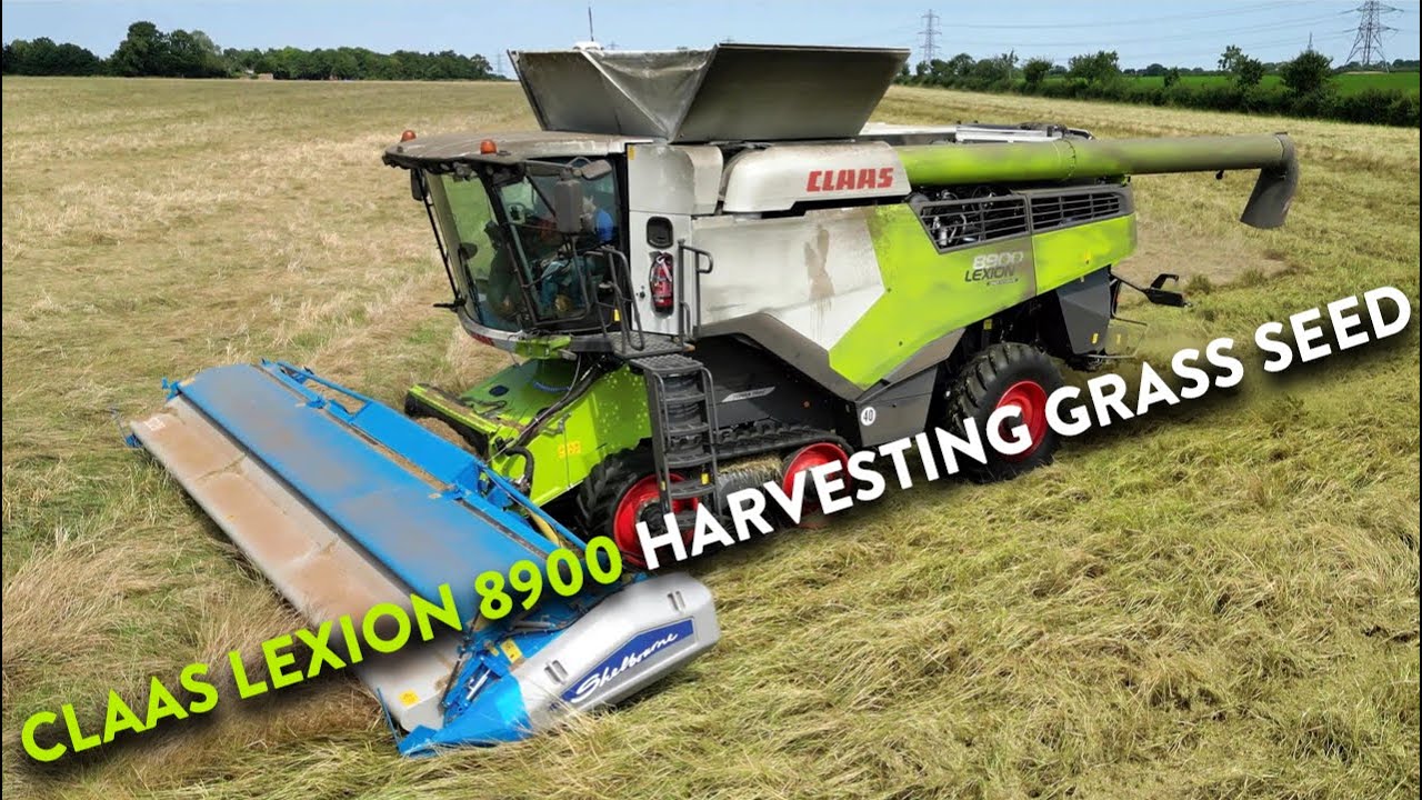 4Kᵁᴴᴰ Harvest 2024: Lexion 8900 harvesting grass seed with Shelbourne Reynolds CSD28 stripper header