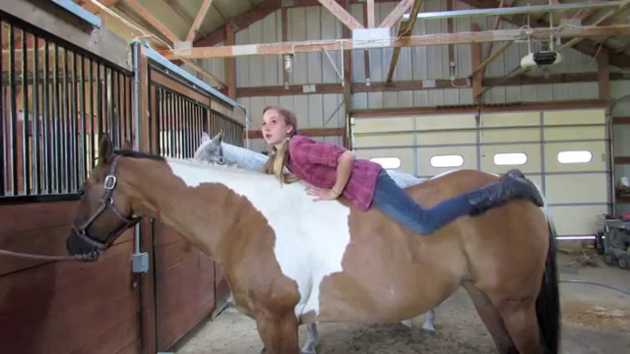 How to do the Scissors on a Horse