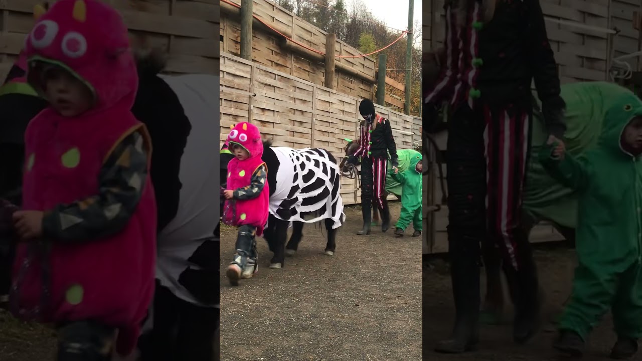 Happy Halloween auf der Rainbow Ranch...