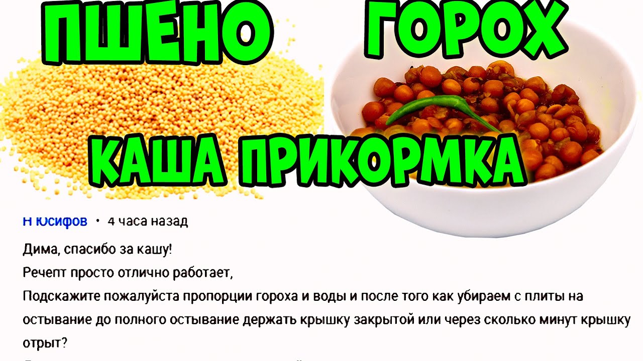 КАК СВАРИТЬ КАШУ НА ЛЕЩА ИЗ ГОРОХА И ПШЕНА ДЛЯ РЫБАЛКИ