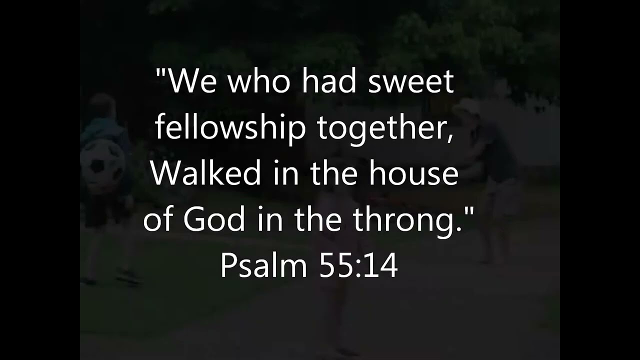 Christadelphian Summer Bible Scool 2014