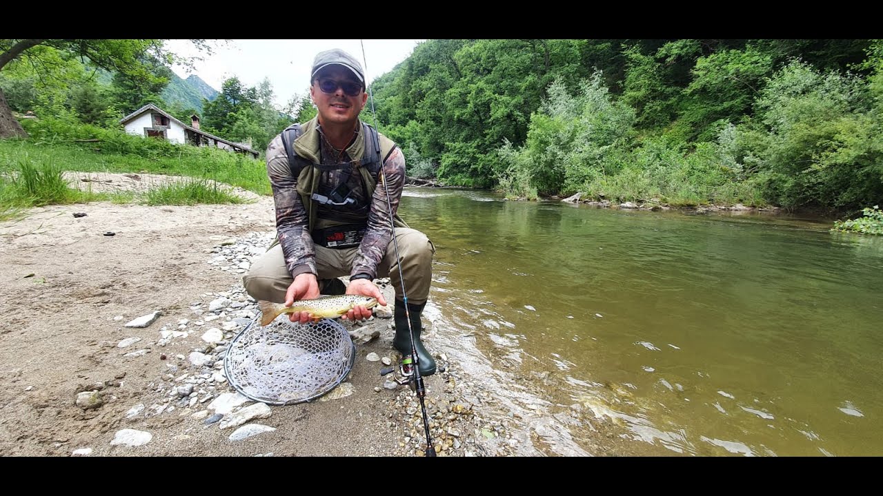 O partida de pescuit la pastrav exemplara ( fishing trout )