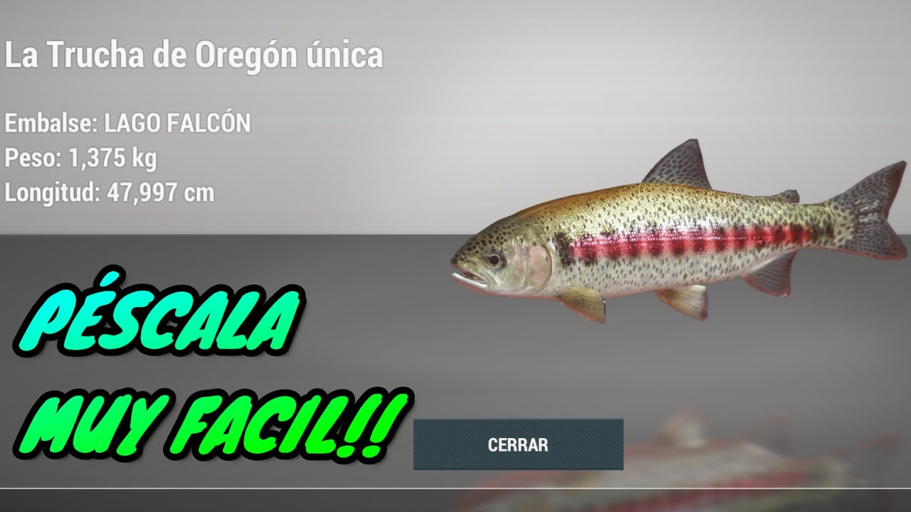 LAGO FALCON, 🐟TRUCHA OREGON UNICA🐟  pescala sin problemas!!👌🏼👌🏼