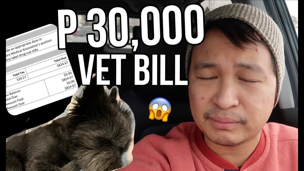 KIMUR IS SICK | NAKAKALULA ANG VET BILL | MUDRA AND PUDRA IS BACK TO SCHOOL
