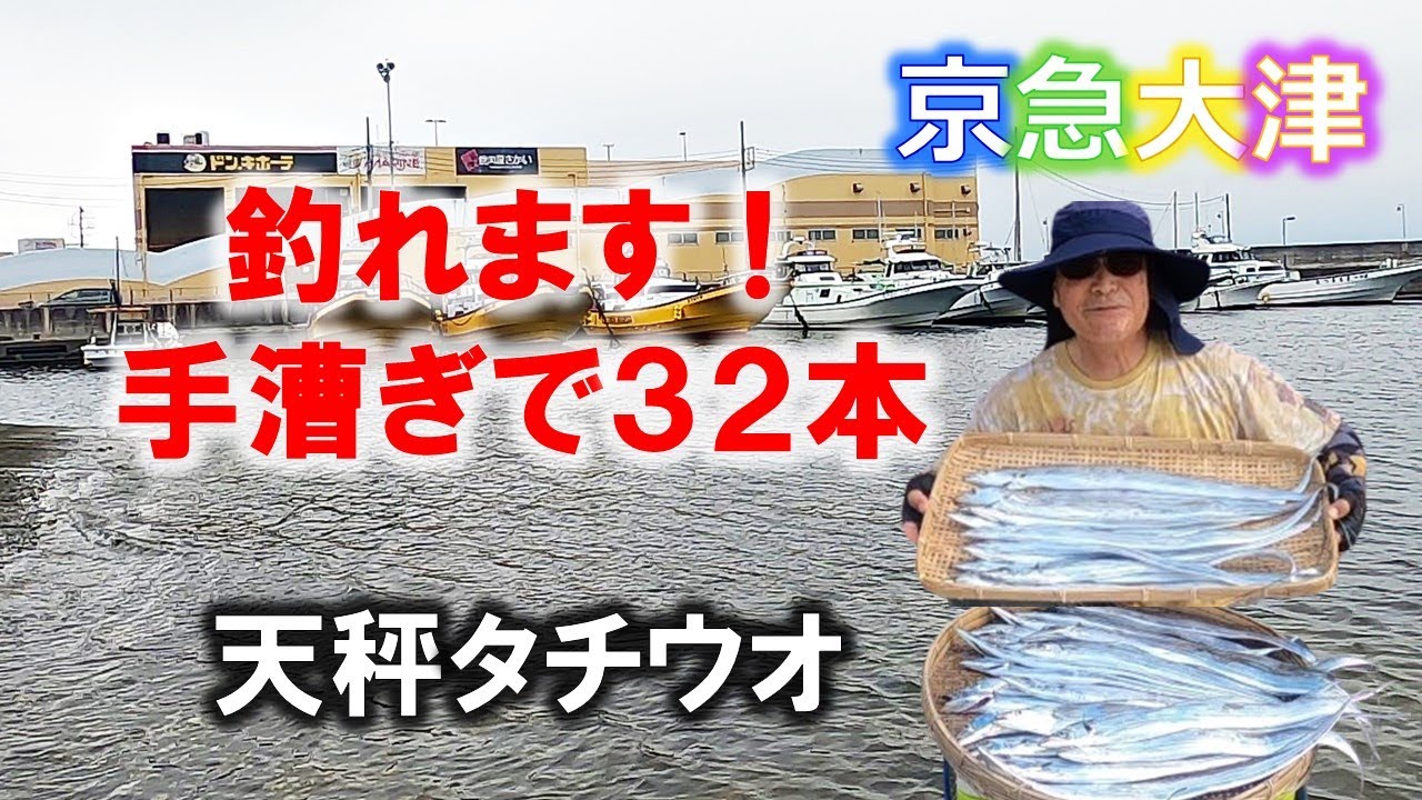手漕ぎボートで天秤タチウオ釣り。アタリを取れない人、針掛かりさせられない人に見てほしい動画です。京急大津石田丸2024/8/5
