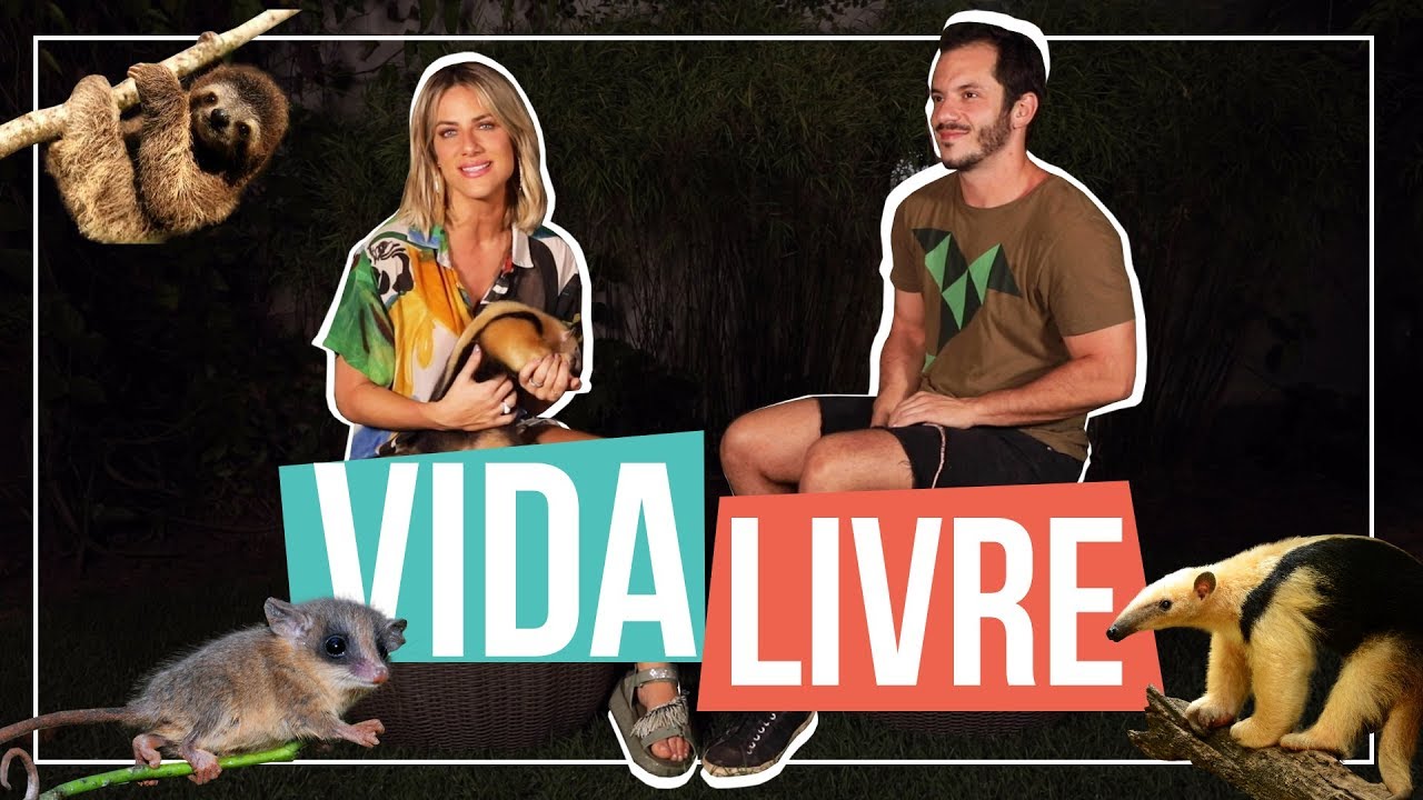 CONHE&Ccedil;A O TRABALHO DO INSTITUTO VIDA LIVRE | GIOH