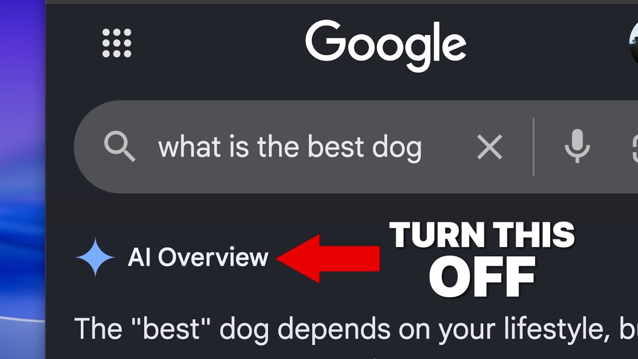 Как отключить обзор ИИ в результатах поиска Google Chrome