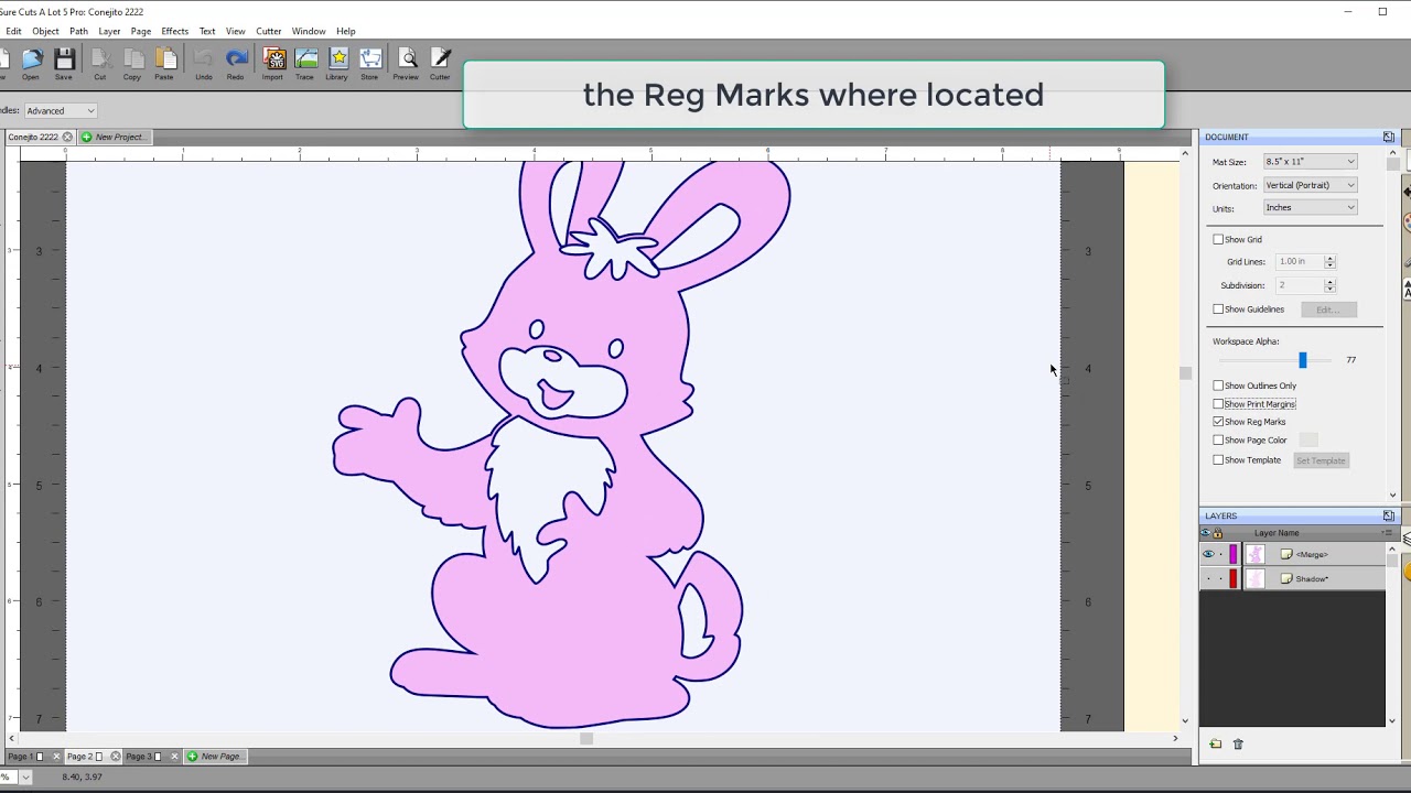 Control Sobre Marcas de Registro Impresi&oacute;n y Corte / Control Over Reg Marks for a PNC