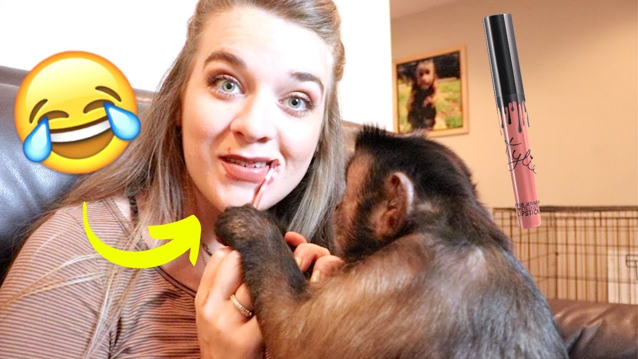 Monkey Unboxes Kylie Cosmetics Makeup With Big Sister!