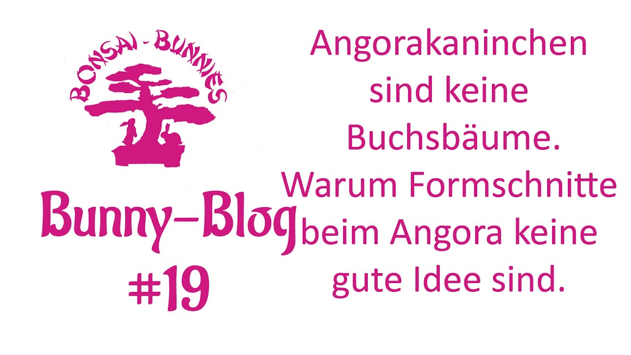 Bunny-Blog #19 Angorakaninchen im Formschnitt