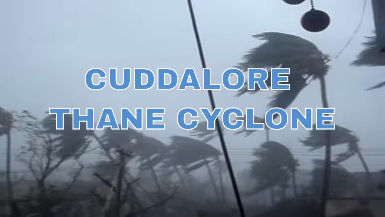 Thane Cyclone in Cuddalore (30/12/2011)