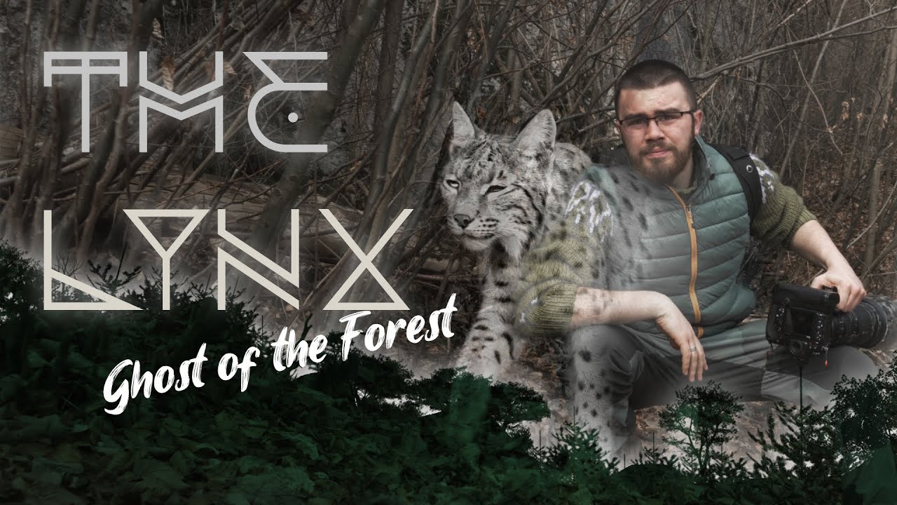 The Lynx: Story of A Wildlifephotographer