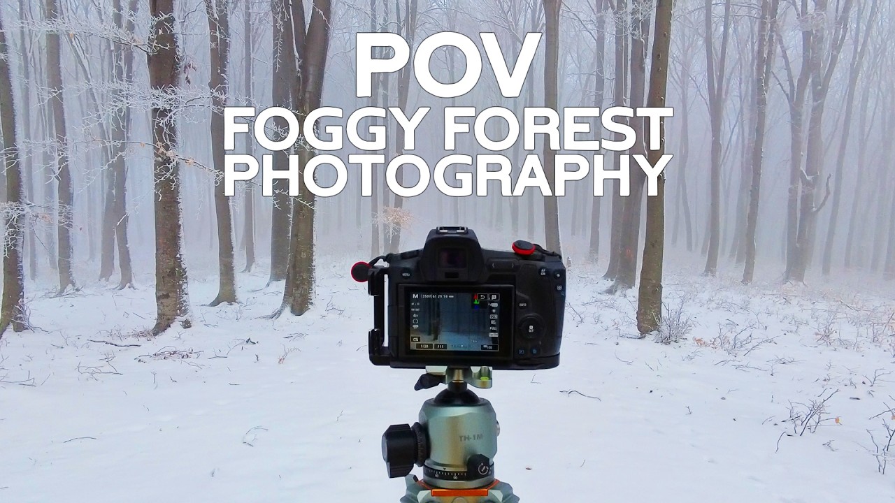 Walking & Photographing a Foggy Forest during Winter with Frost on the Tress (No Talking)