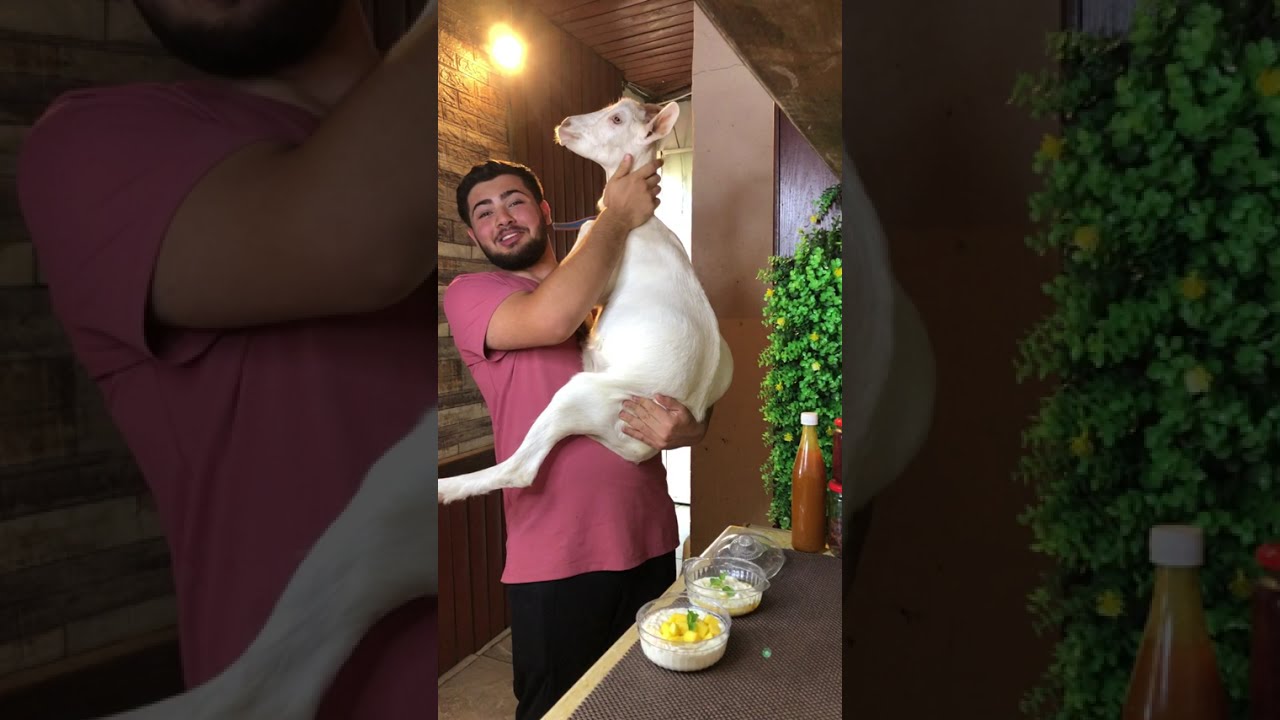 طريقة عمل اللبن اليوناني في البيت بـ مكونات بسيطة !!