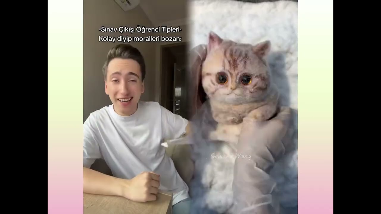 🤣👌👌👌2026pov Must-Watch Crazy Clips Compilation #humor #fypシ #pov #fyp #foryou 😍😜