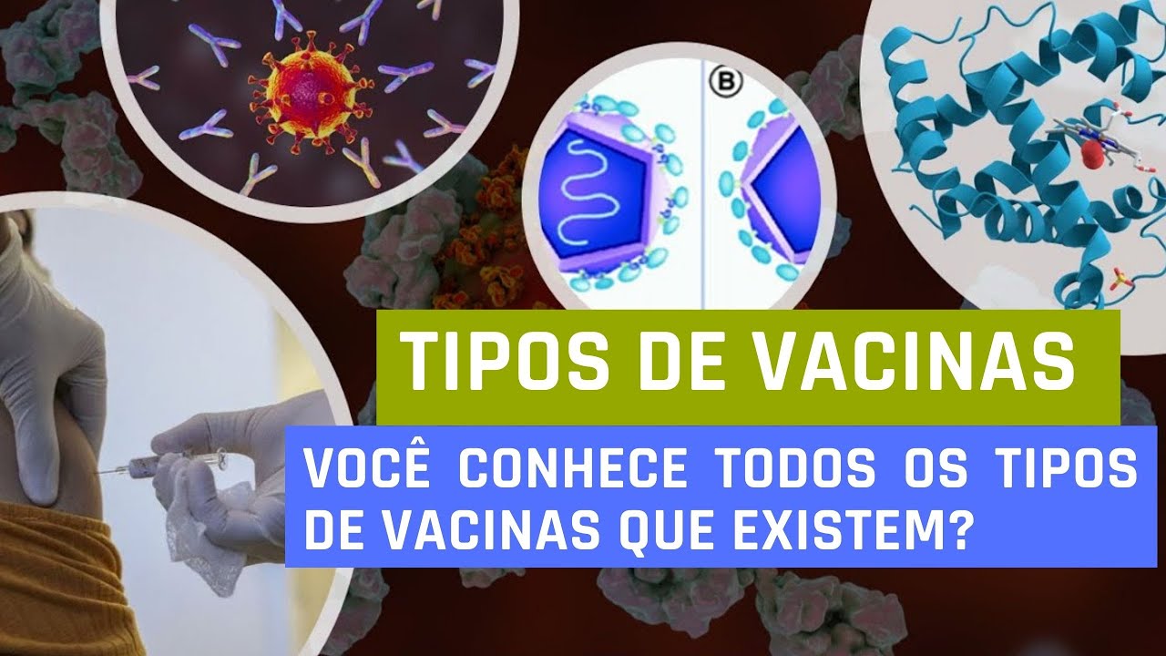 Tipos de vacinas