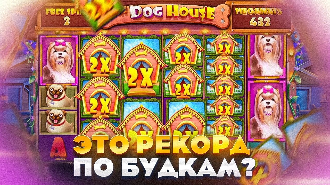 Я СБИЛСЯ СЧИТАТЬ БУДКИ !! ЗАКРЫЛ РЕДКУЮ ПОЛЯНУ, ЭТО ОГРОМНЫЙ ЗАНОС НЕДЕЛИ В THE DOG HOUSE MEGAWAYS ?