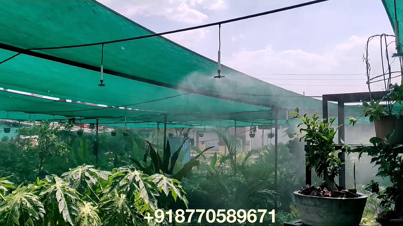 Fogger Irrigation - Jain Irrigation Systems