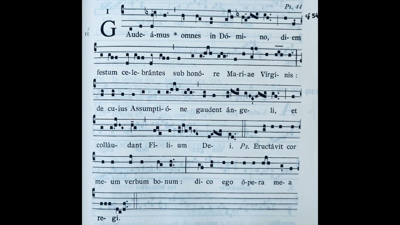 Gaudeamus omnes in Domino - Ad introitum in Assumptione BMV