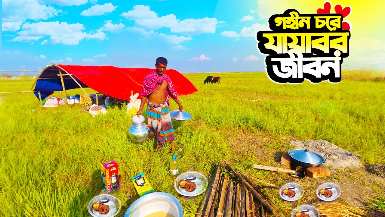 গহীন চরে যাযাবর জীবন! Tent House Cooking & Chon Collection 🍃 | Real Village Survival Bangladesh