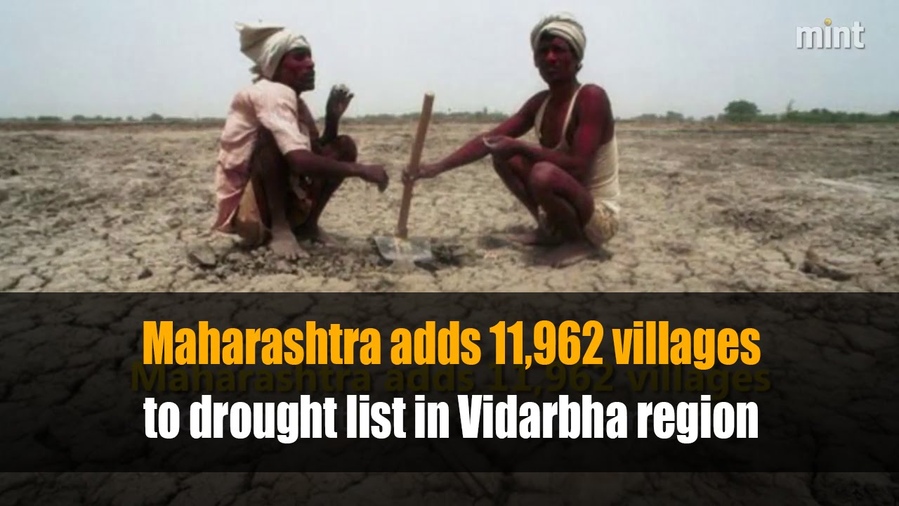 Maharashtra adds 11,962 villages to drought list in Vidarbha region