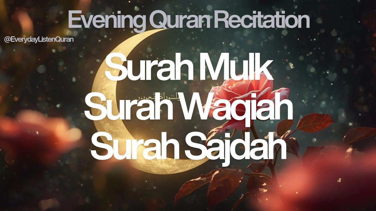 Healing Quran Recitation | Surah Al-Waqiah, Al-Mulk & As-Sajdah | Rizq, Barakah & Protection