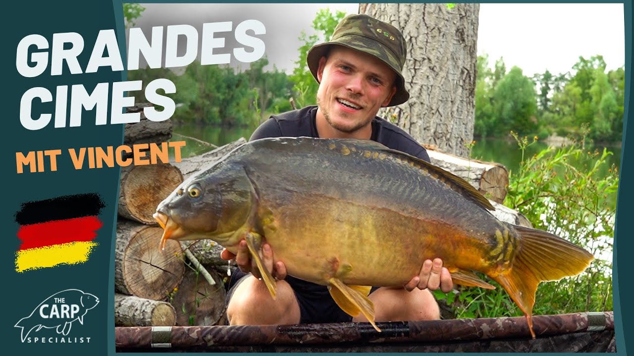 Briljante sessie op de Grandes Cimes - tactieken, tips en trucs voor zomerkarper met Vincent 🎣
