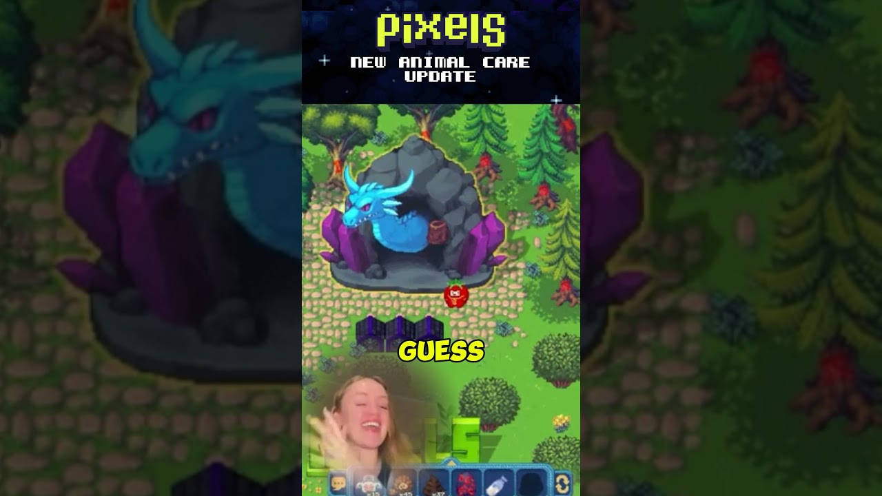 Pixels Animal care update AMA recap