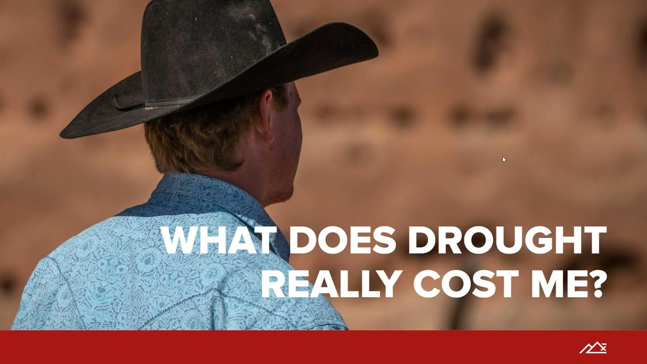 What Does the Drought Really Cost You