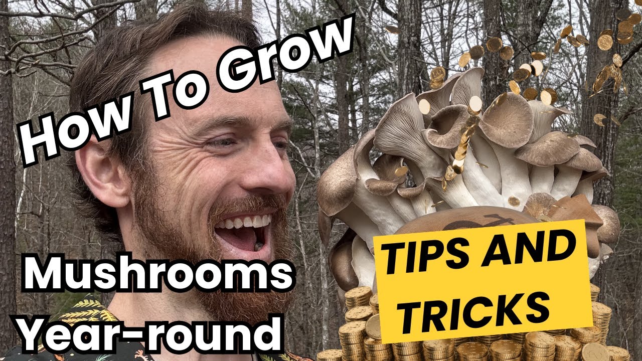 This Shipping Container Grows 1,000+ Pounds of Mushrooms a Month