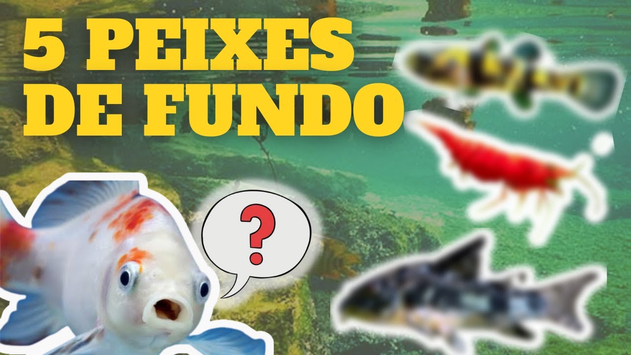 5 PEIXES DE FUNDO QUE AJUDAM NA MANUTENÇÃO DO AQUÁRIO