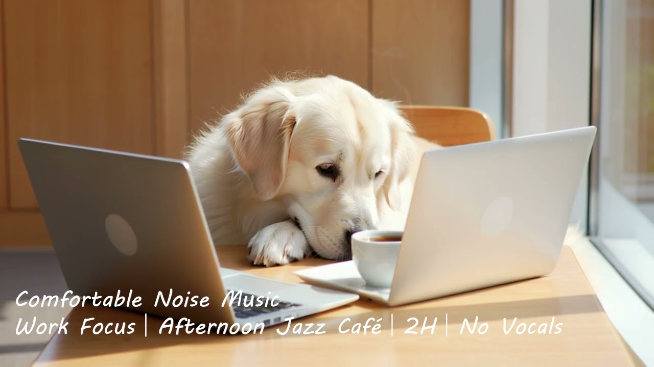 【BGM for work／2 hours】When you want to be soothed by a golden retriever｜Work Focus｜2H｜No Vocals