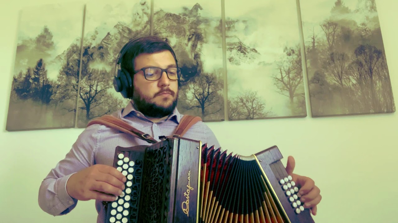 La Vita é Bella (N.Piovani)_ Giuliano D'Alessandro_ Organetto