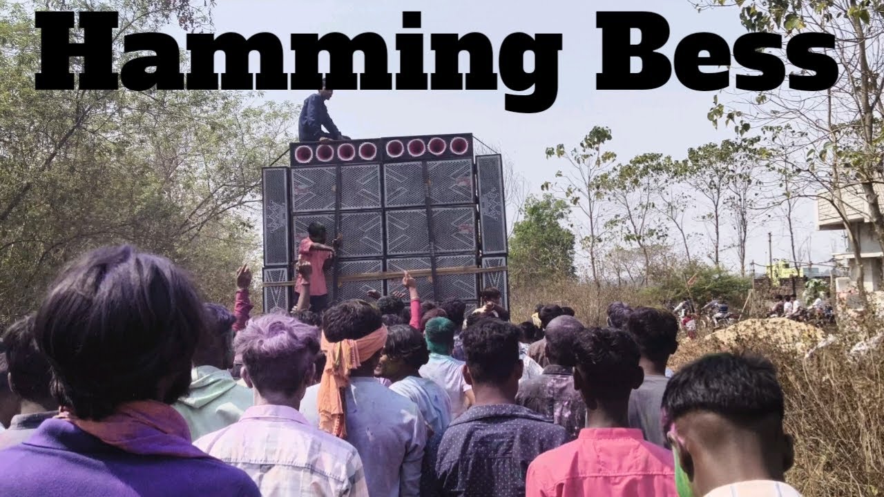 Dj Ritesh Kalash Yatra Hamming Bess 