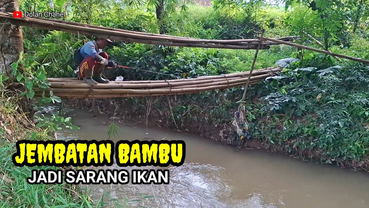 MANCING DI SUNGAI KECIL TEPAT DI BAWAH JEMBATAN BAMBU TERNYATA BANYAK IKAN NYA
