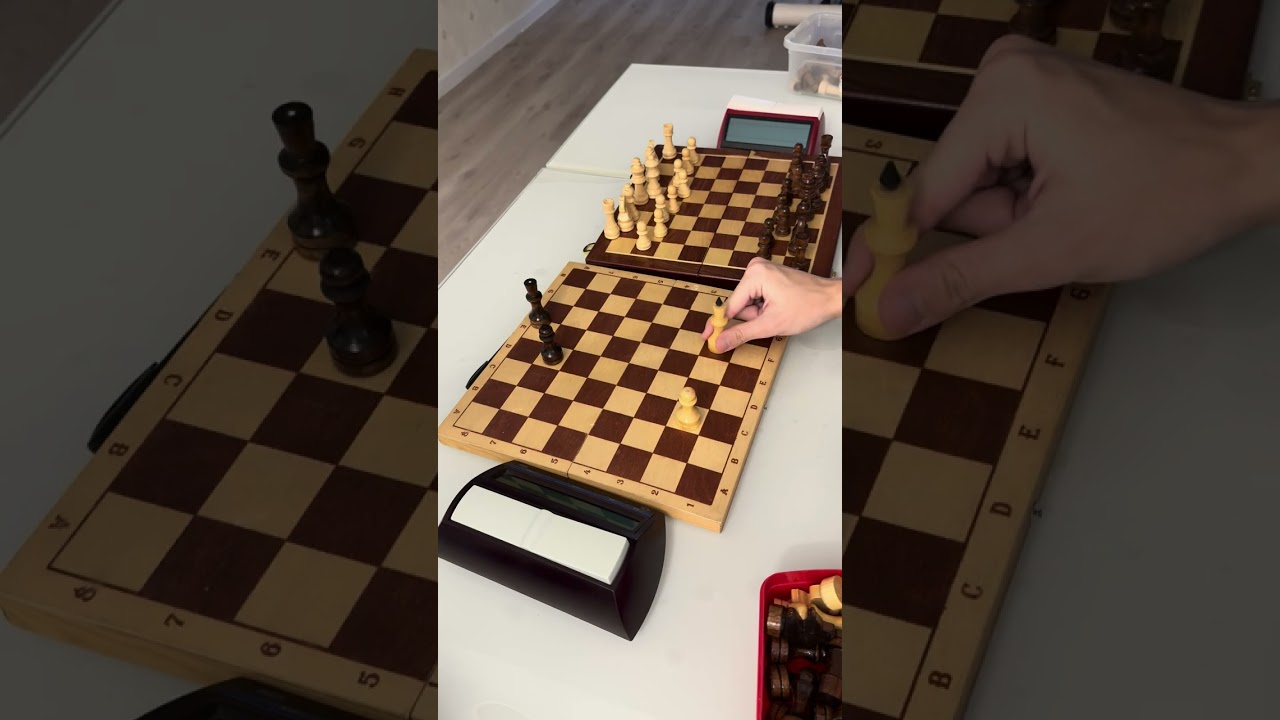 Шахматы