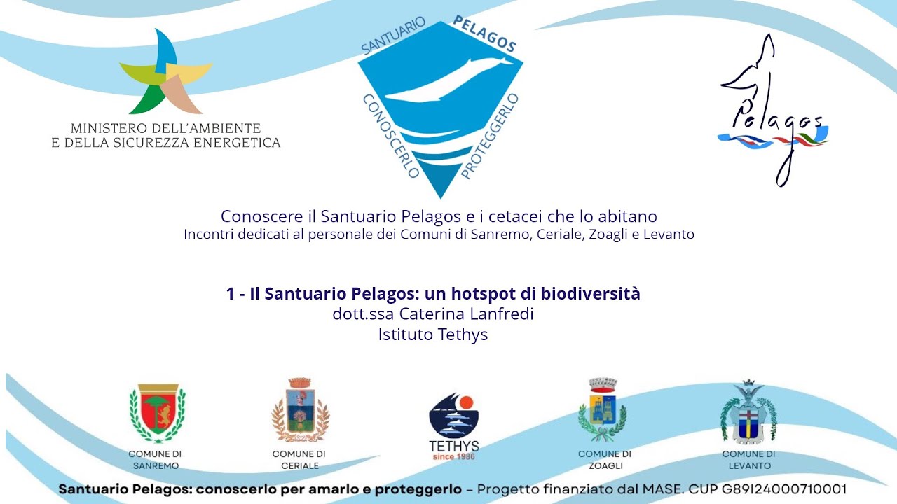 1 - Il Santuario Pelagos:  un hotspot di biodiversità - seminario per il personale dei  Comuni