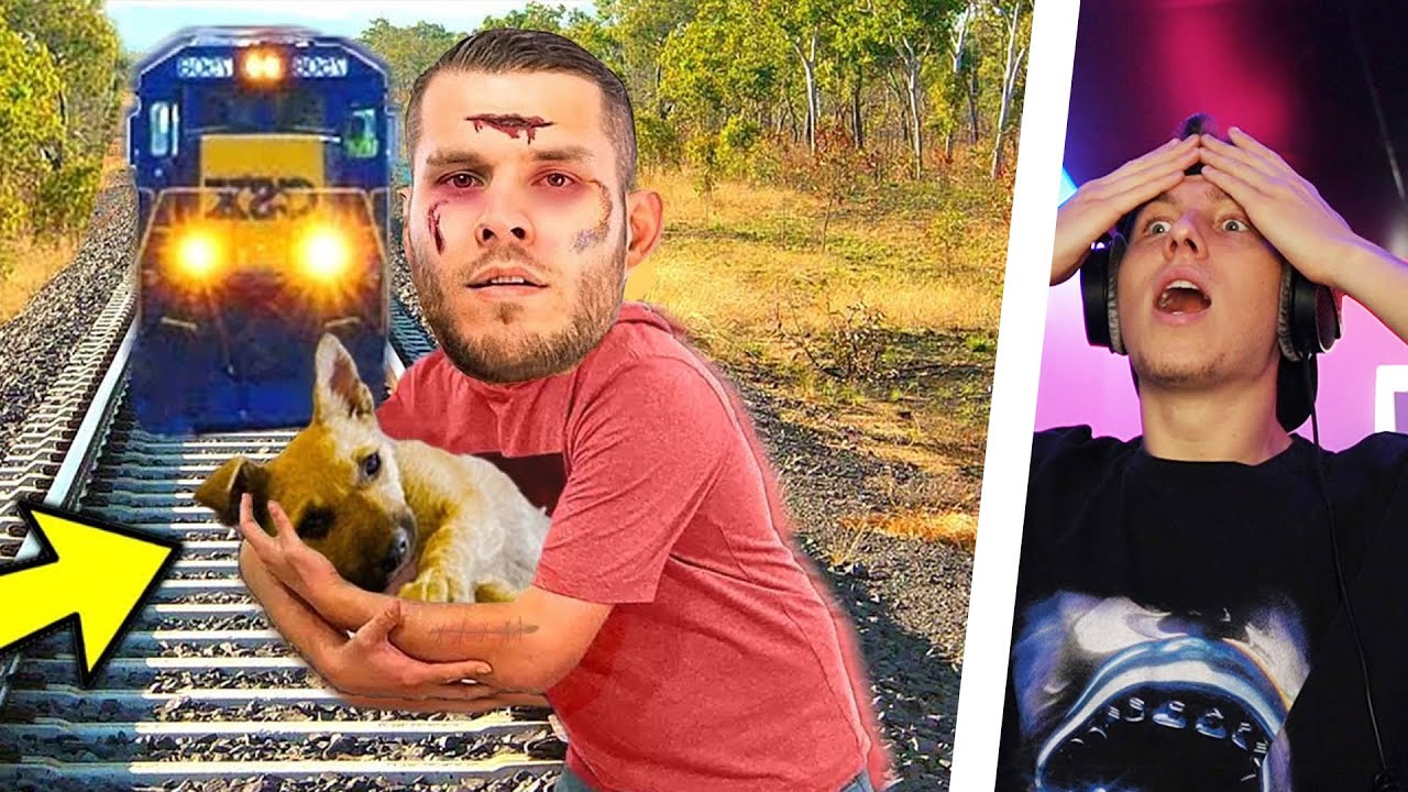 7 YouTuber die TIEREN das LEBEN RETTEN?? (Stanni, ...)