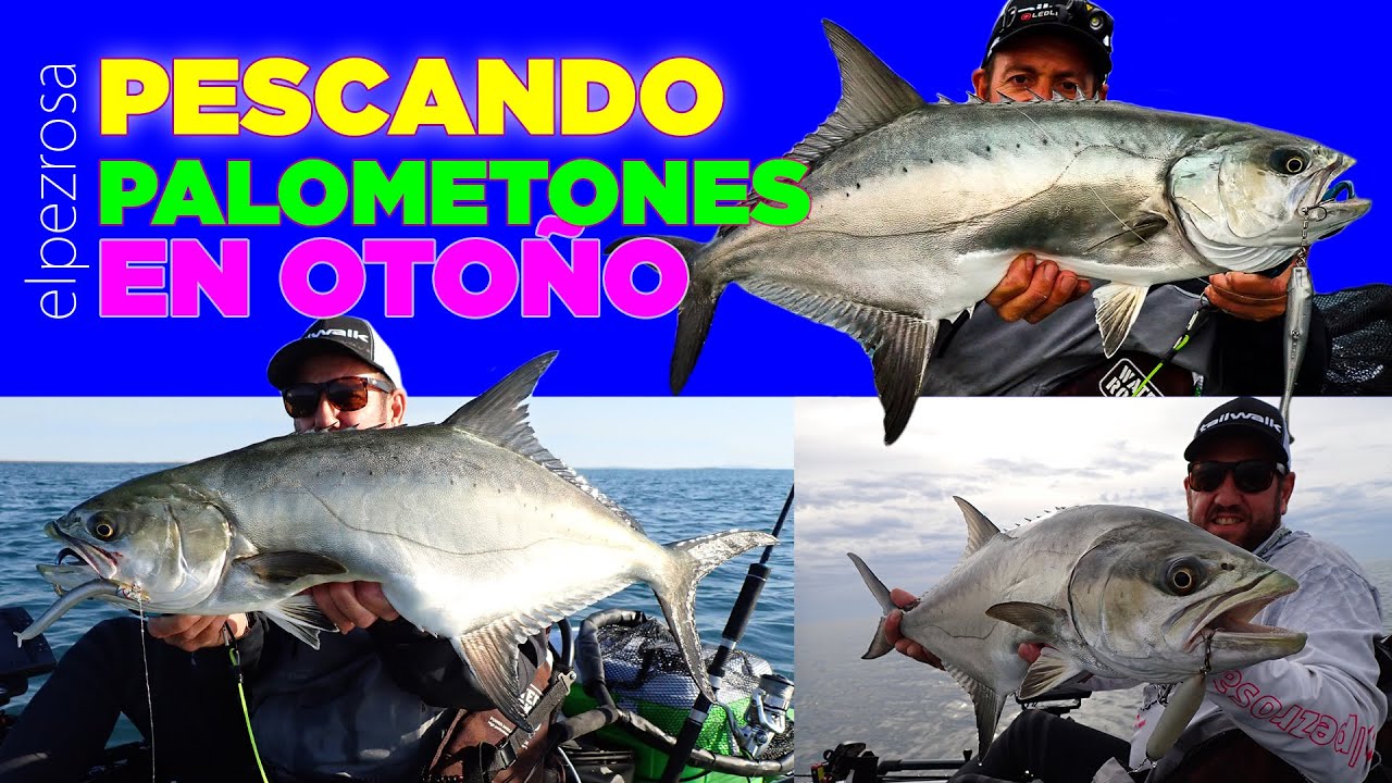 Vlog: Pescando palometones de Oto&ntilde;o