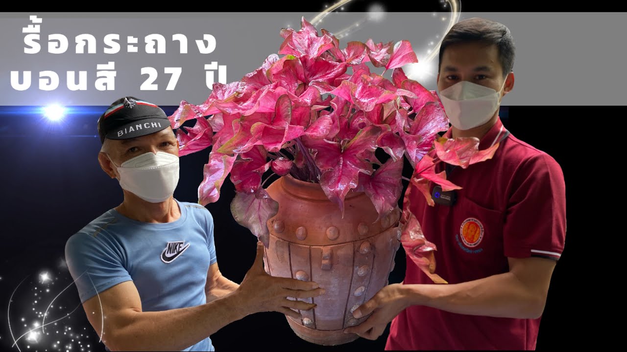 บอนสีอายุ27ปี