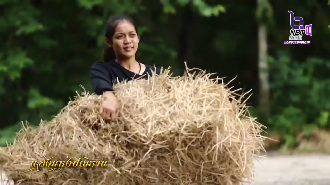 แสงแห่งปณิธาน ตอน ศูนย์กสิกรรมธรรมชาติมาบเอื้อง
