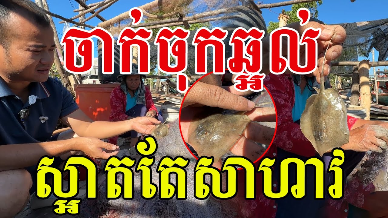 ស្មានថាស្លូត រូបស្អាតតែអ្នកសមុទ្រដឹងច្បាស់ គឺដាក់មួយដឹងមួយហើយ