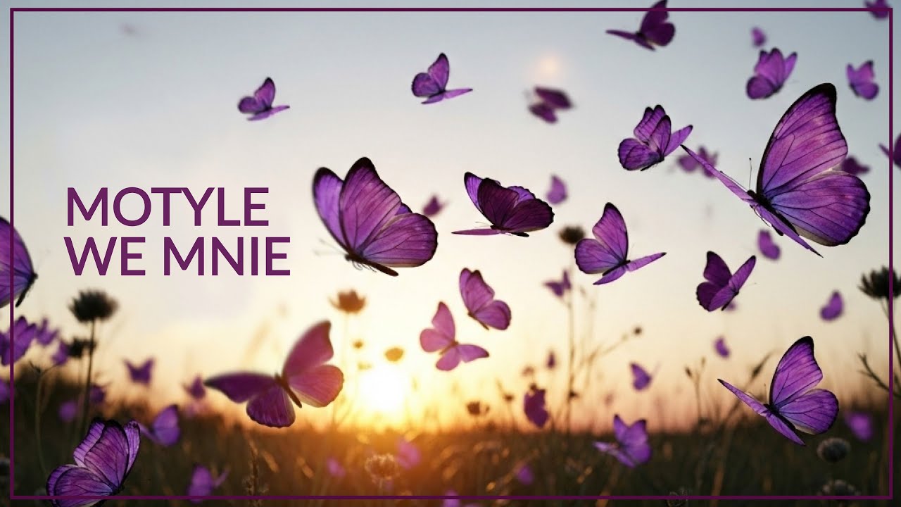 Gosia Gosza - Motyle we mnie