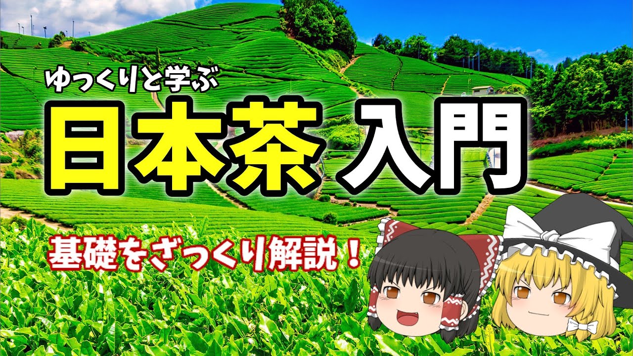 🔰【初心者向け】ゆっくりで学ぶ！日本茶入門～基礎知識をざっくり解説～