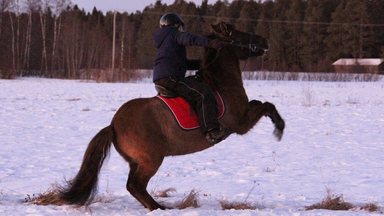 ✩ Loser Like Me ~ Epäonnistumisia Roin kanssa!