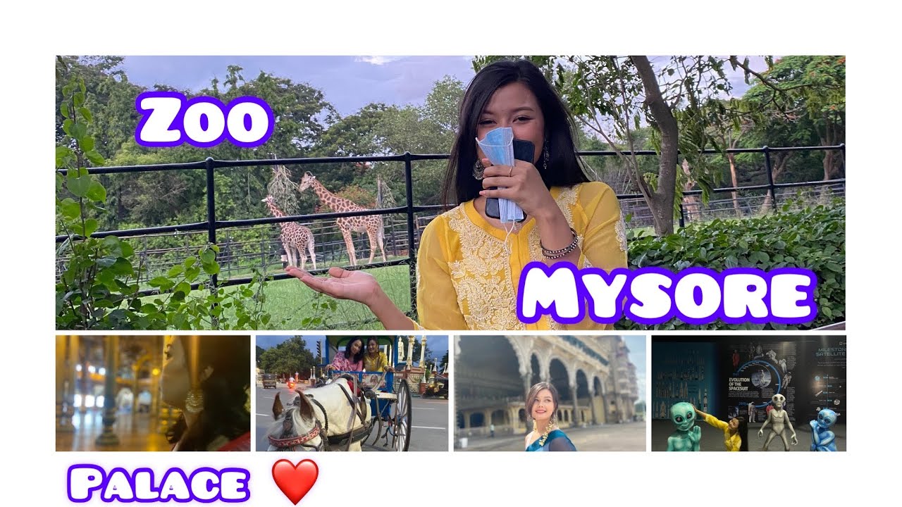 Bangalore to Mysore by train || Visiting ZOO after ages ||Sushitra Wangkhem
