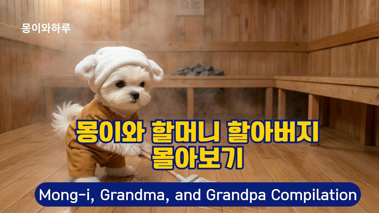 몽이와 할머니 할아버지 몰아보기 Mong-i, Grandma, and Grandpa Compilation 바쁜 몽이의 브이로그를 함께 즐겨요!”#말티즈#ai강아지#브이로그#인터뷰