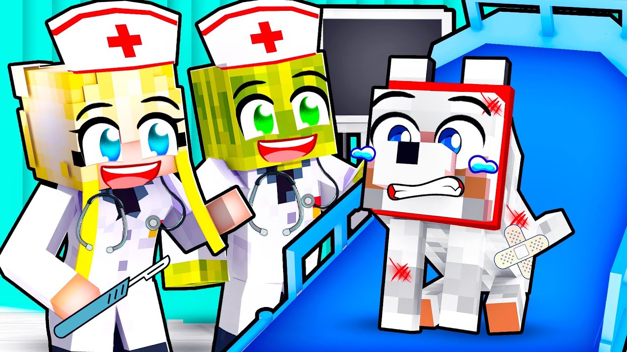MINECRAFT SPIELEN als TIERARZT!