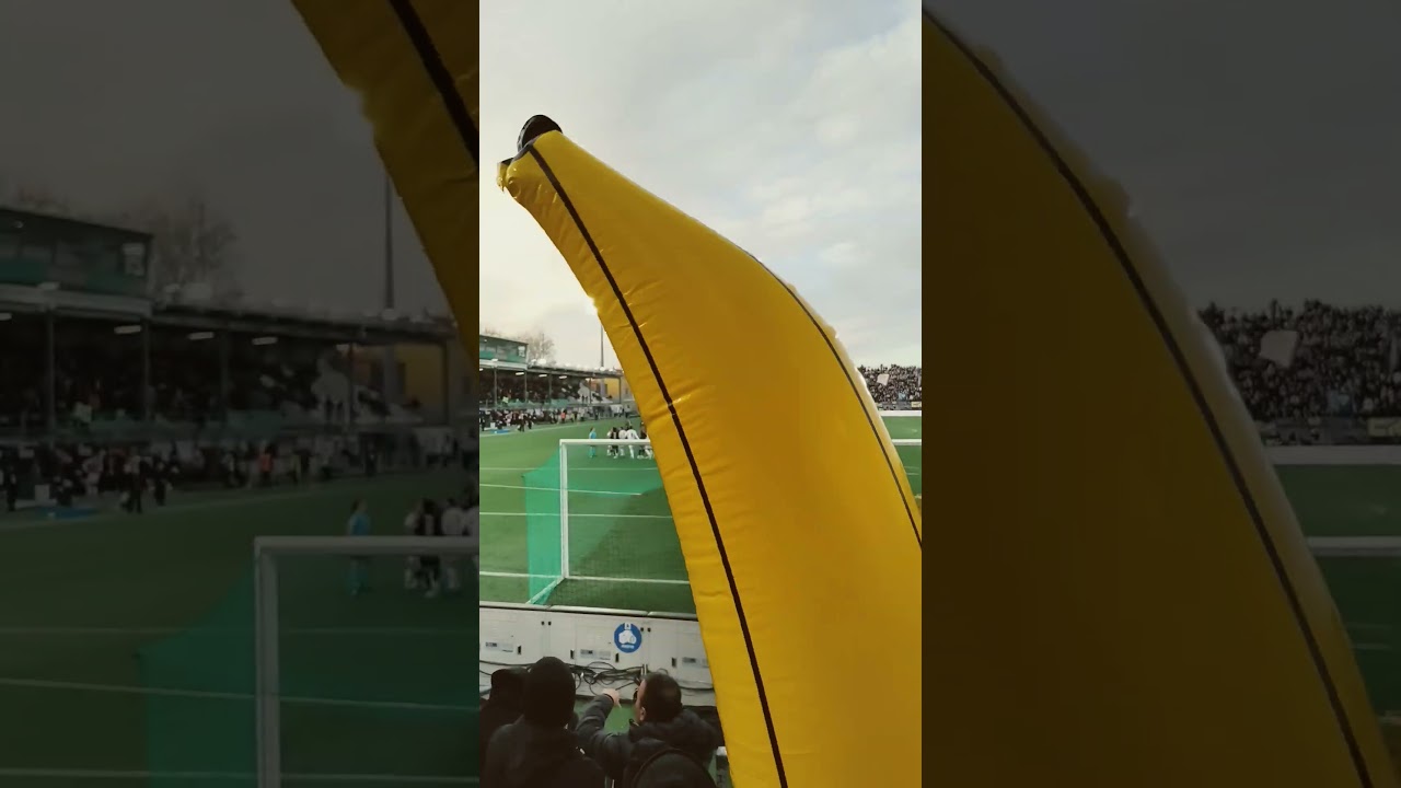Venezia - Carrarese 2 - 1 Shingtienne #venezia #ultras #football #carrarese